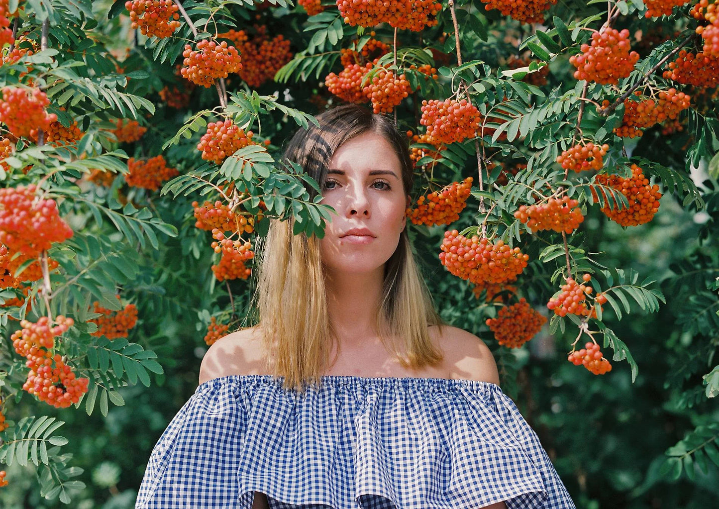Fujifilm Fujicolor 400