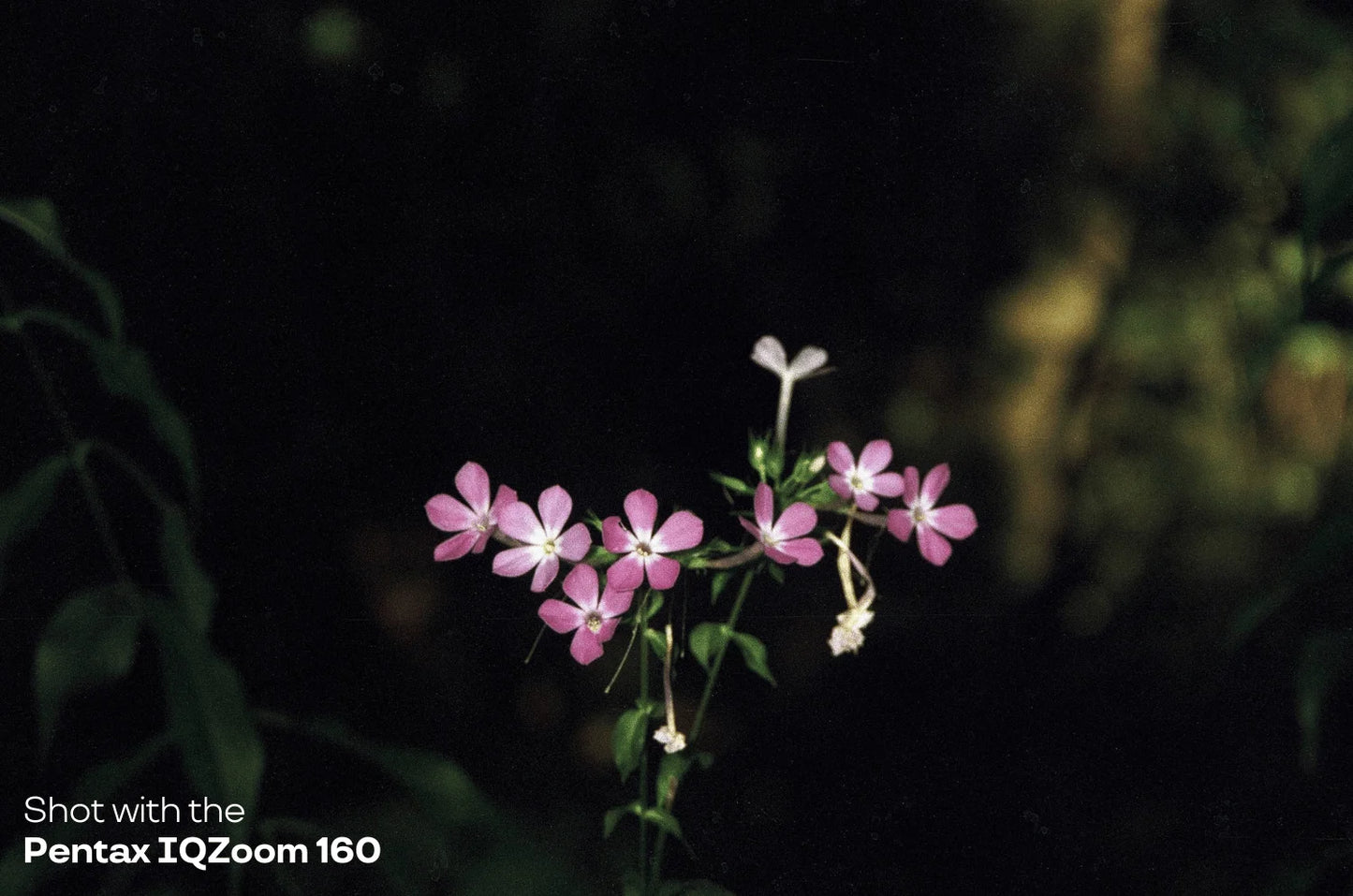 Pentax IQZoom 160