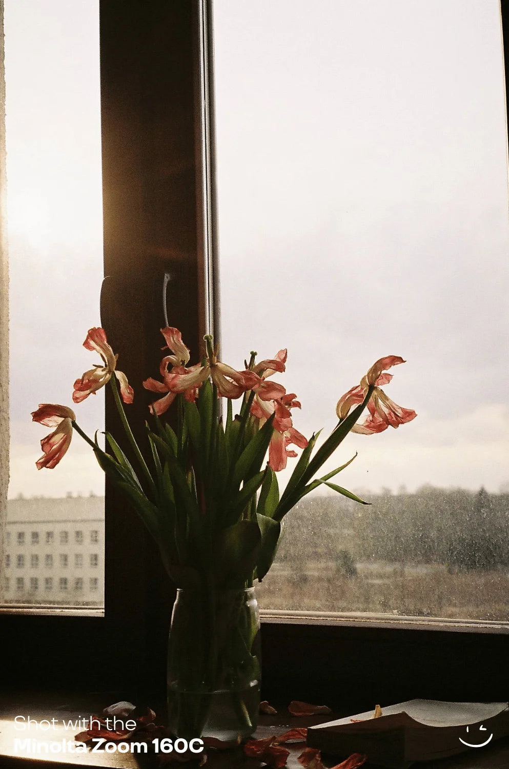 Minolta Zoom 160C