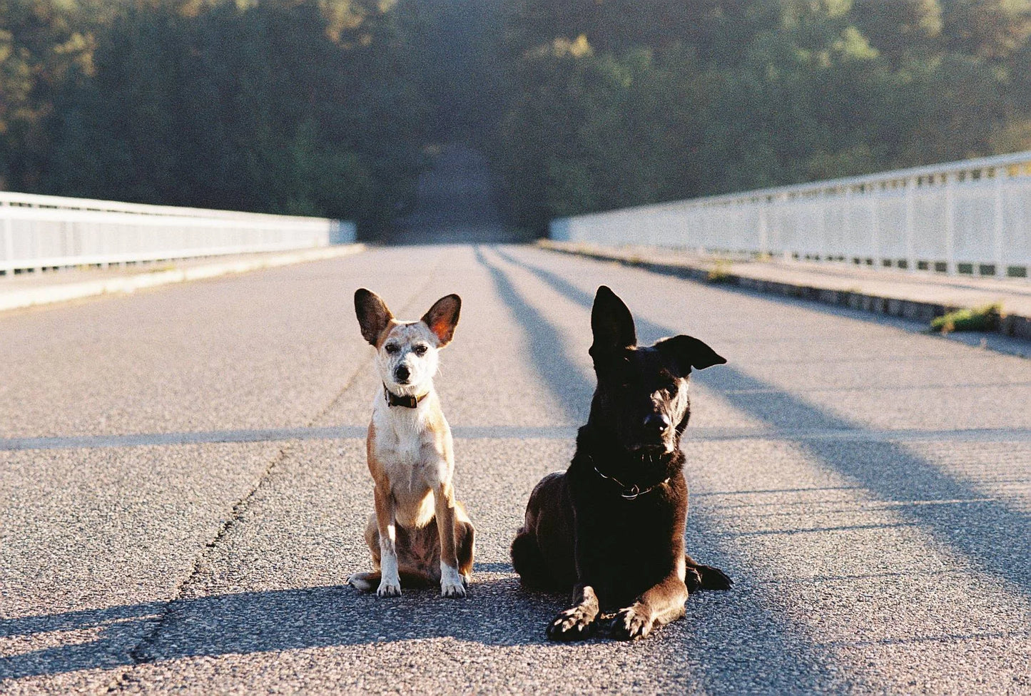 Kodak Colorplus 200