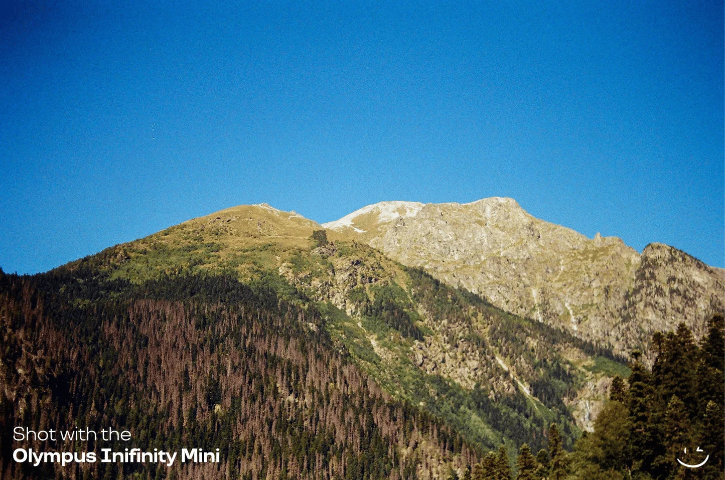 Olympus Infinity Mini