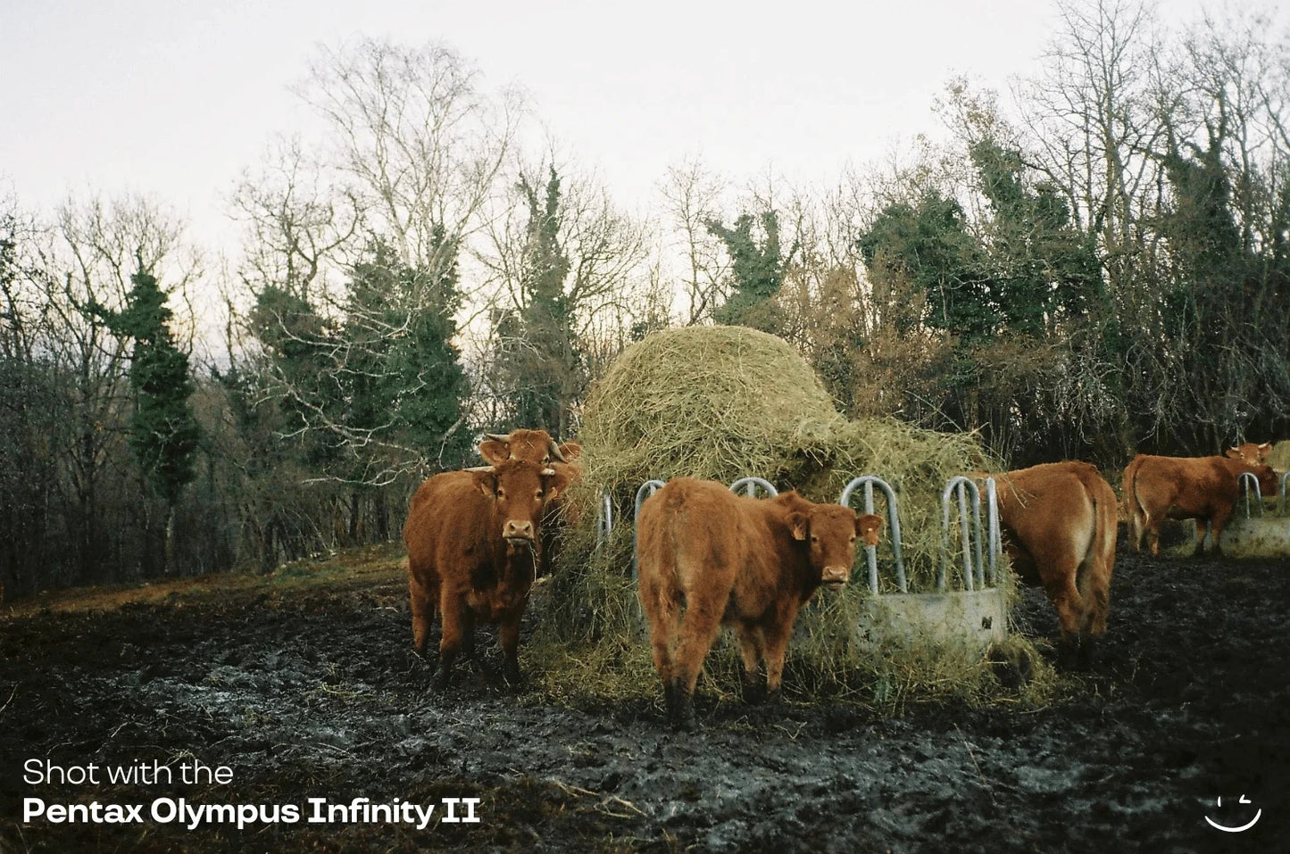 Olympus Infinity II