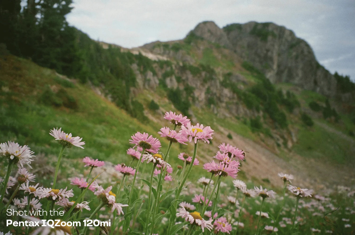 Pentax IQZoom 120mi