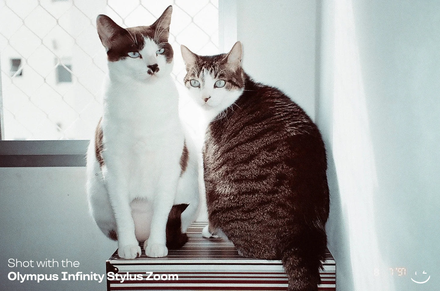 Olympus Infinity Stylus Zoom