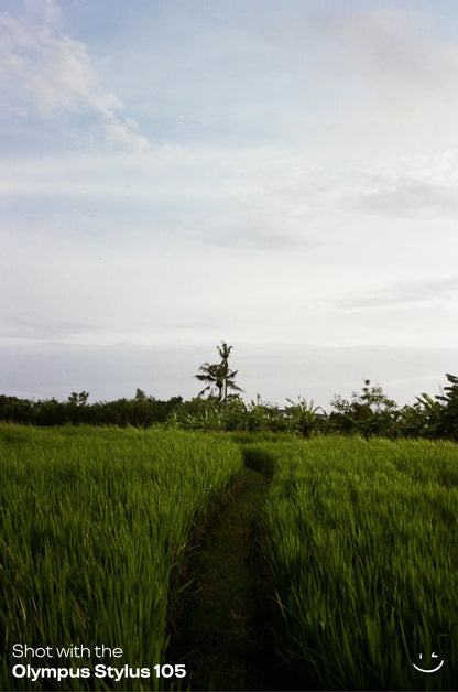 Olympus Stylus 105