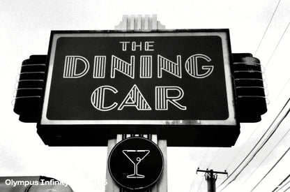 Olympus Infinity Zoom 105