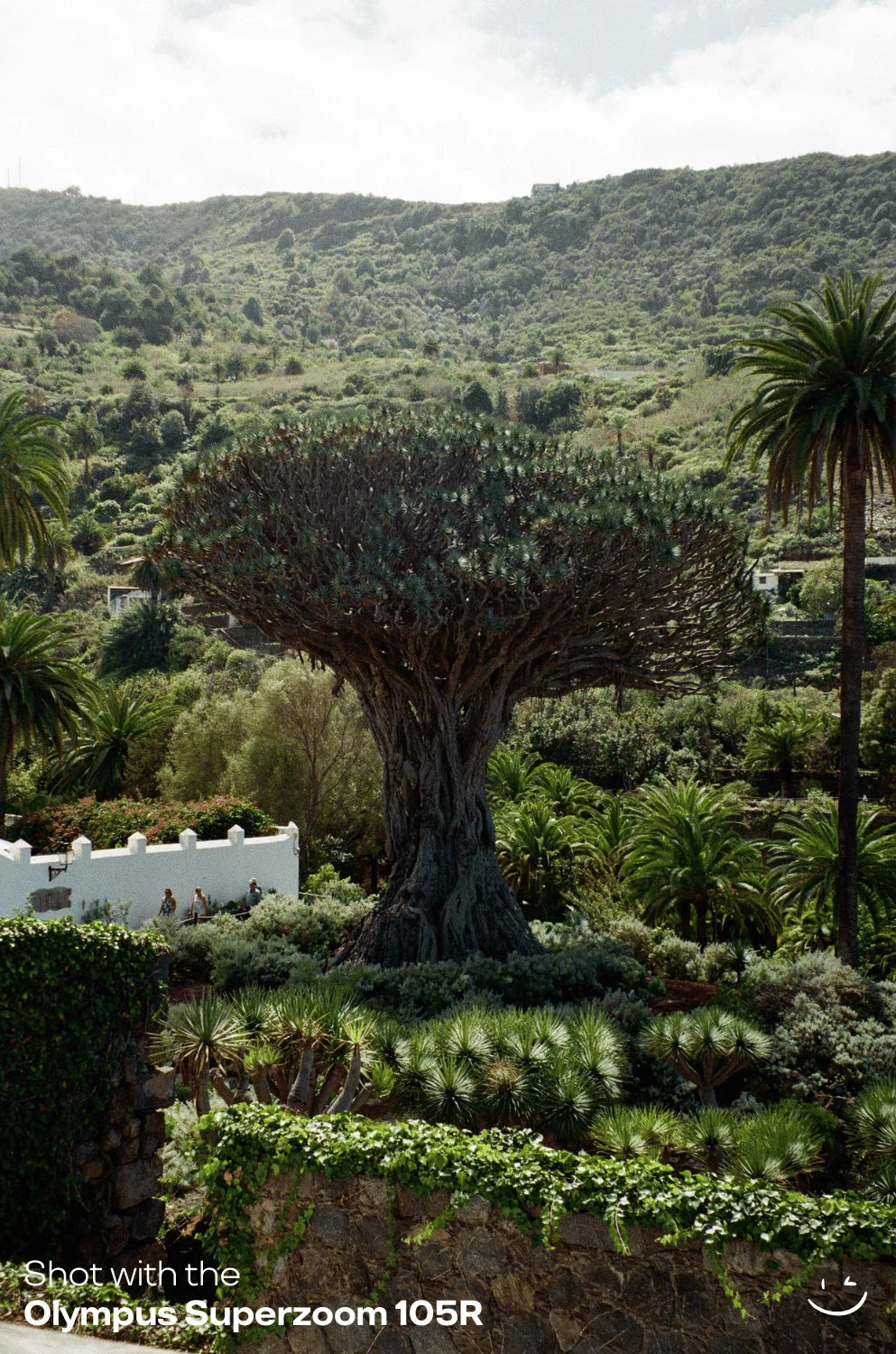 Olympus Superzoom 105R