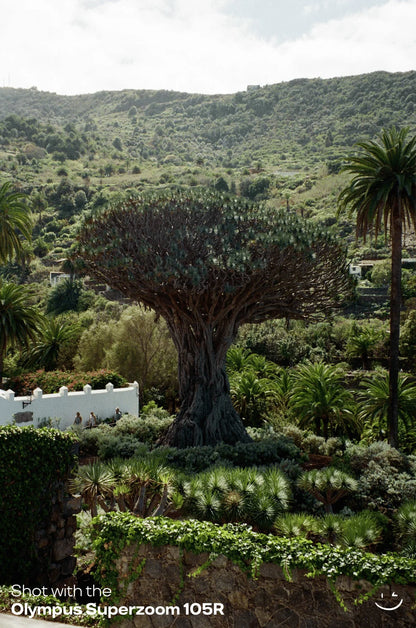 Olympus Superzoom 105R